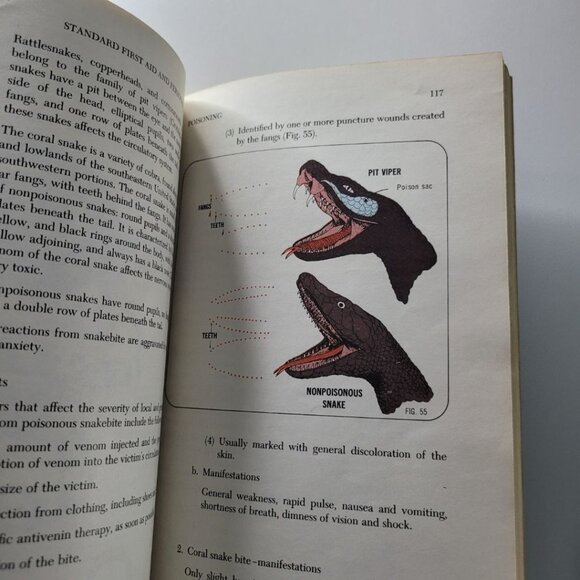 Red Cross Standard First Aid Personal Safety Book 1975‎ Vintage Health Guide - Picture 8 of 10